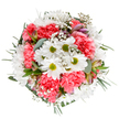 In Kingsbury, where vibrant cultural life meets tranquil green spaces, this delightful bouquet captures the energy of spring renewal and community celebration. Gently illuminated from above and arranged against a fresh backdrop, cheerful white daisies with bold lime-yellow eyes form a radiant centerpiece, surrounded by textured coral-pink carnations whose ruffled petals suggest soft movement and comforting warmth. Wispy clouds of baby's breath twinkle throughout the bouquet like rays of sunlight through leafy park canopies, while subtle touches of pink-streaked alstroemeria and aromatic eucalyptus infuse the arrangement with both visual layering and an invigorating, green scent. The rounded, balanced form and promising buds evoke a sense of hope and optimistic new beginnings, perfect for congratulating neighbours, welcoming new arrivals, or brightening any occasion along Kingsbury's bustling streets. Whether as a birthday surprise or a thoughtful gesture to lift someone's spirits, this bouquet, thoughtfully crafted for same-day delivery from local Kingsbury florists, brings together artistry and heartfelt intention in every petal and leaf.